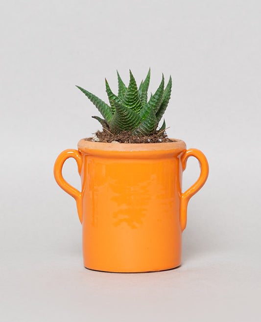 Be Kind Alligator Sticker